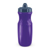 Purple Whitsunday Drink Bottles